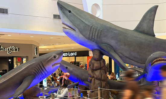 Filme a R$10 e exposição “Sharks & Cia” no Shopping Jardins